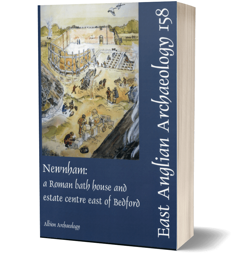 Newnham: a Roman bath house book cover